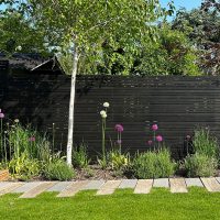 Black fence panels in a sunny garden with alliums.