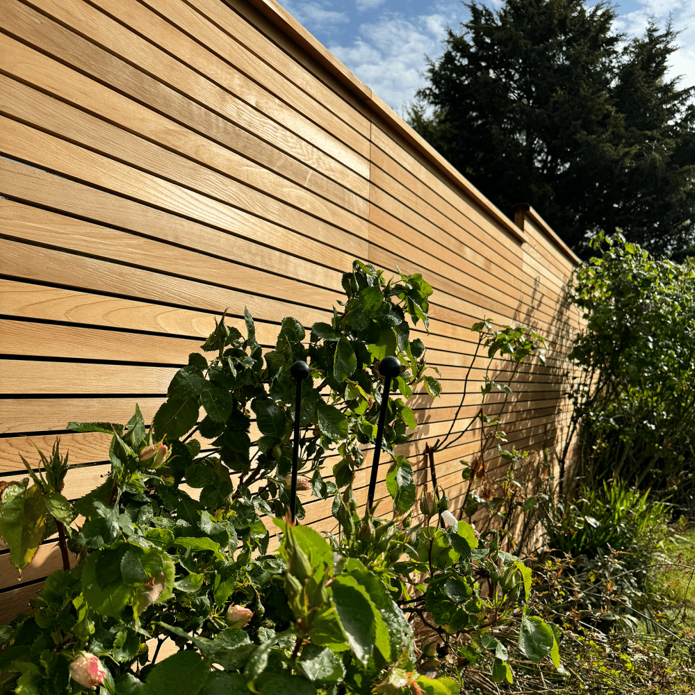 A Red Cedar fence panel, creating the illusion of a radiant "golden" look through the reflection of sunlight. Has a contemporary fencing design.