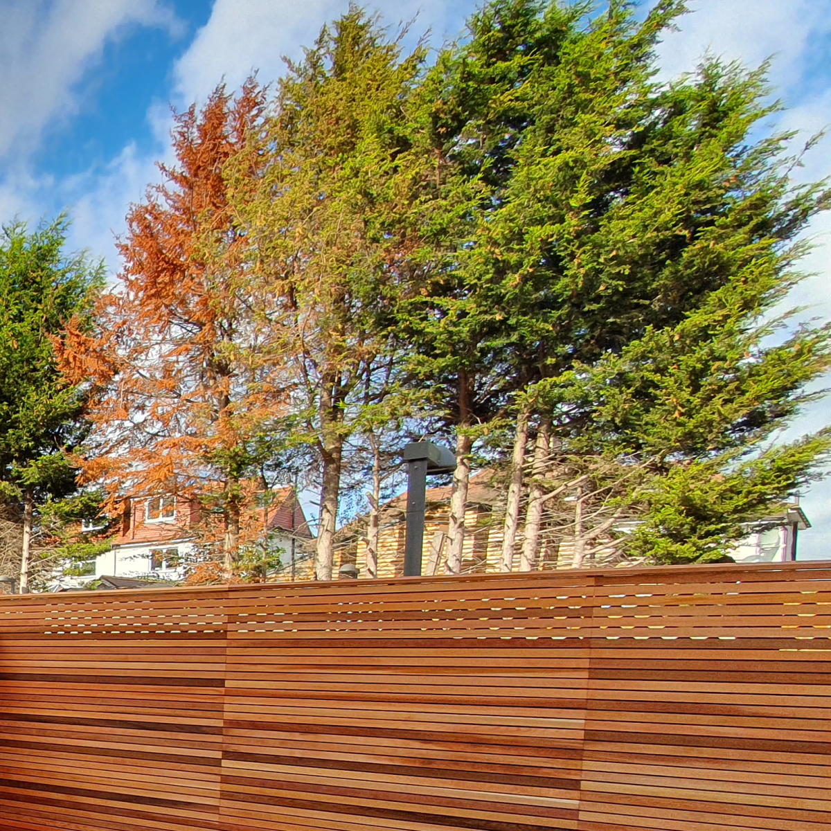 A Canadian Red Cedar fence panel in front of a gorgeous gradient of trees.