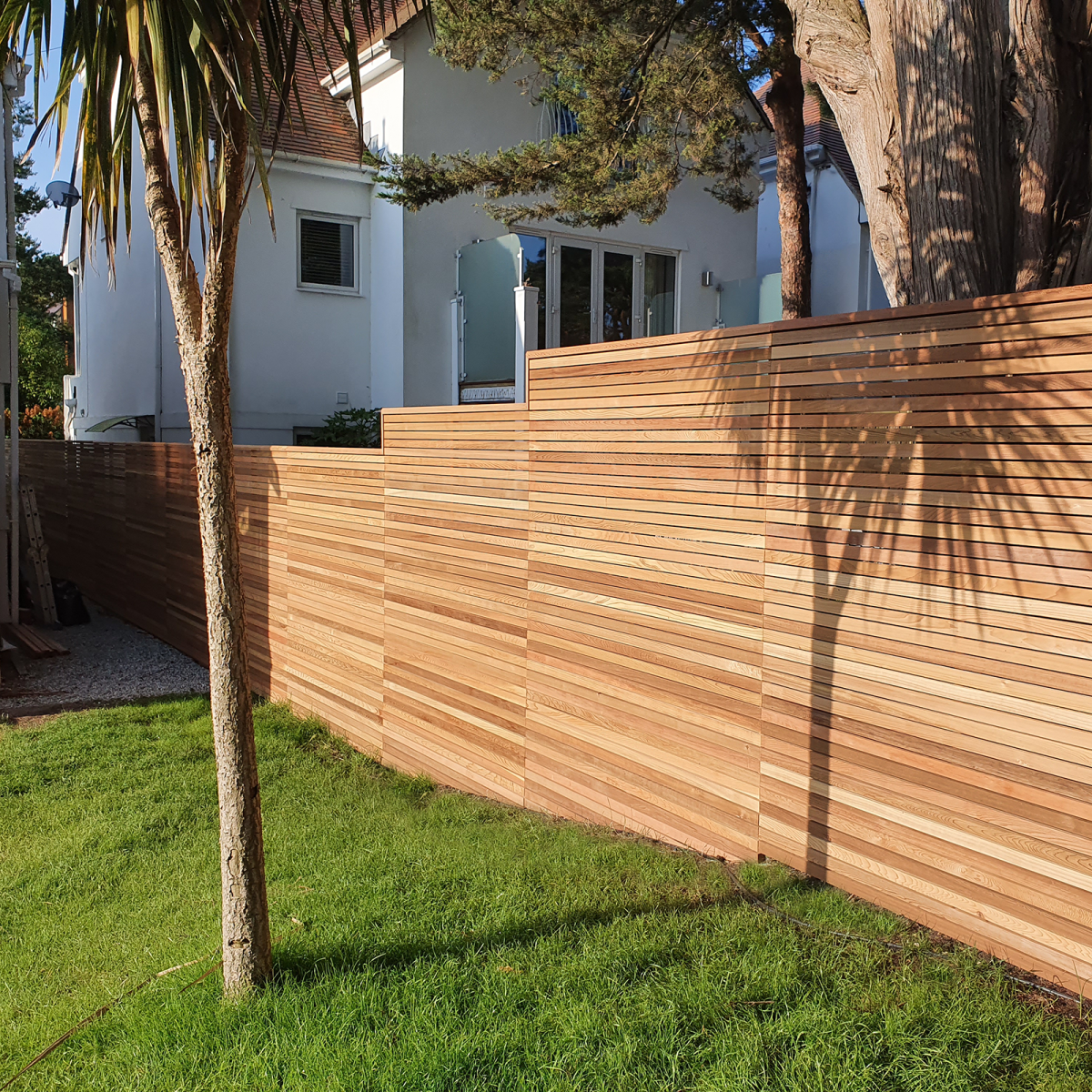 A shadow of a palm tree cast upon a luminous Canadian Red Cedar fencing panel.