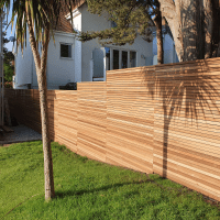 A shadow of a palm tree cast upon a radiant Canadian Red Cedar fencing panel in a modern garden.