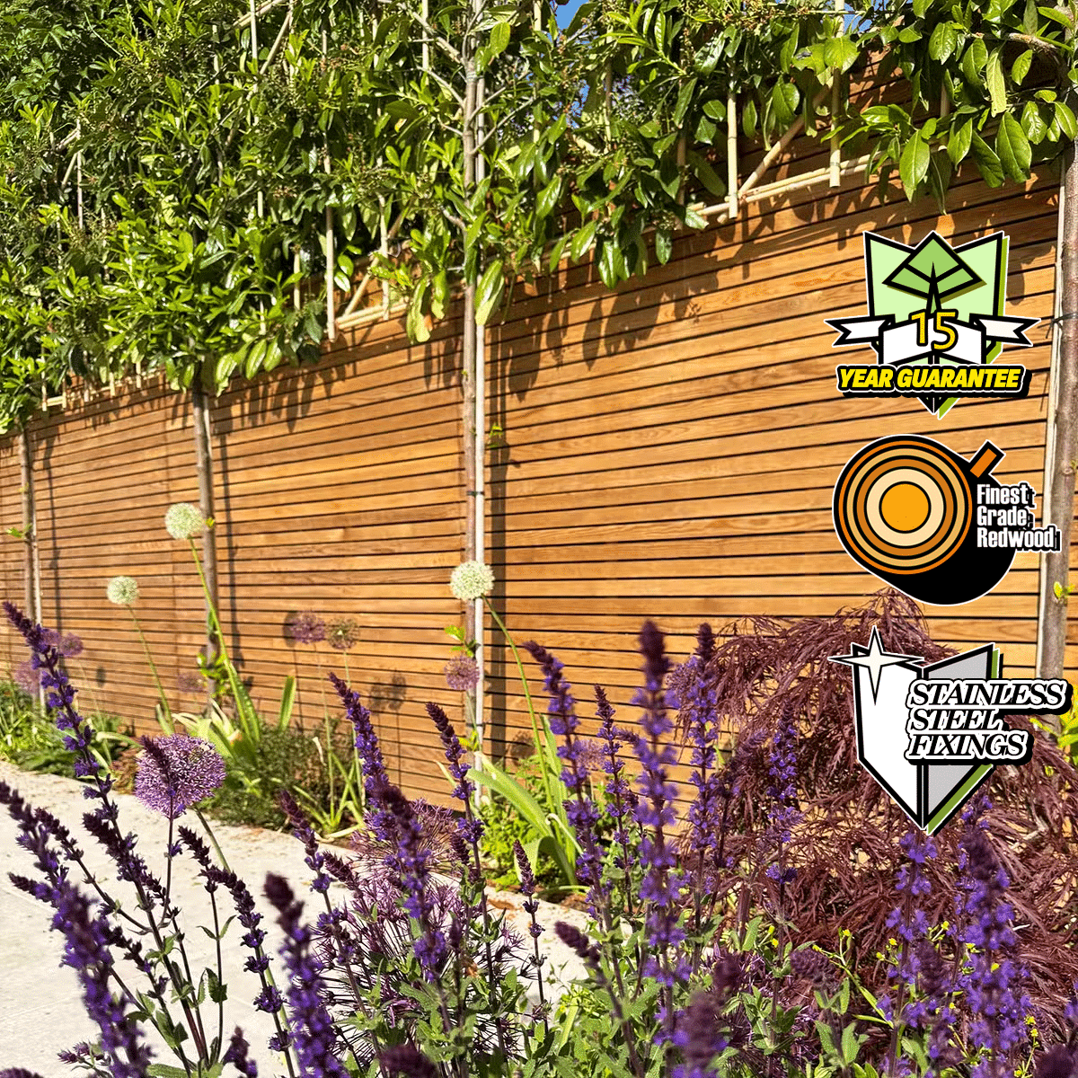 Our Redwood fence panel, made of the finest grade redwood, with a 15 year guarantee and stainless steel fixings.