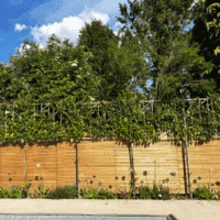 A bright orange venetian fence panel standing before tall trees and flowers.