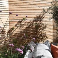 Modern larch fencing surrounds this seating area